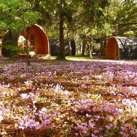 La Rossignolerie - Pod Cabanes Des Chateaux Chouzy-sur-Cisse Esterno foto