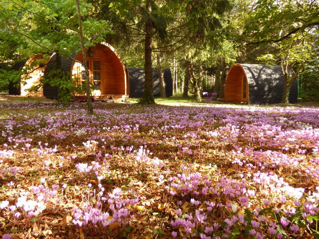La Rossignolerie - Pod Cabanes Des Chateaux Chouzy-sur-Cisse Esterno foto