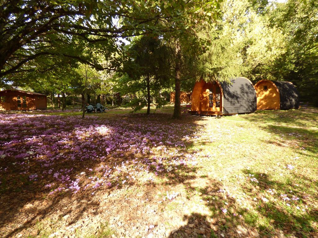 La Rossignolerie - Pod Cabanes Des Chateaux Chouzy-sur-Cisse Esterno foto