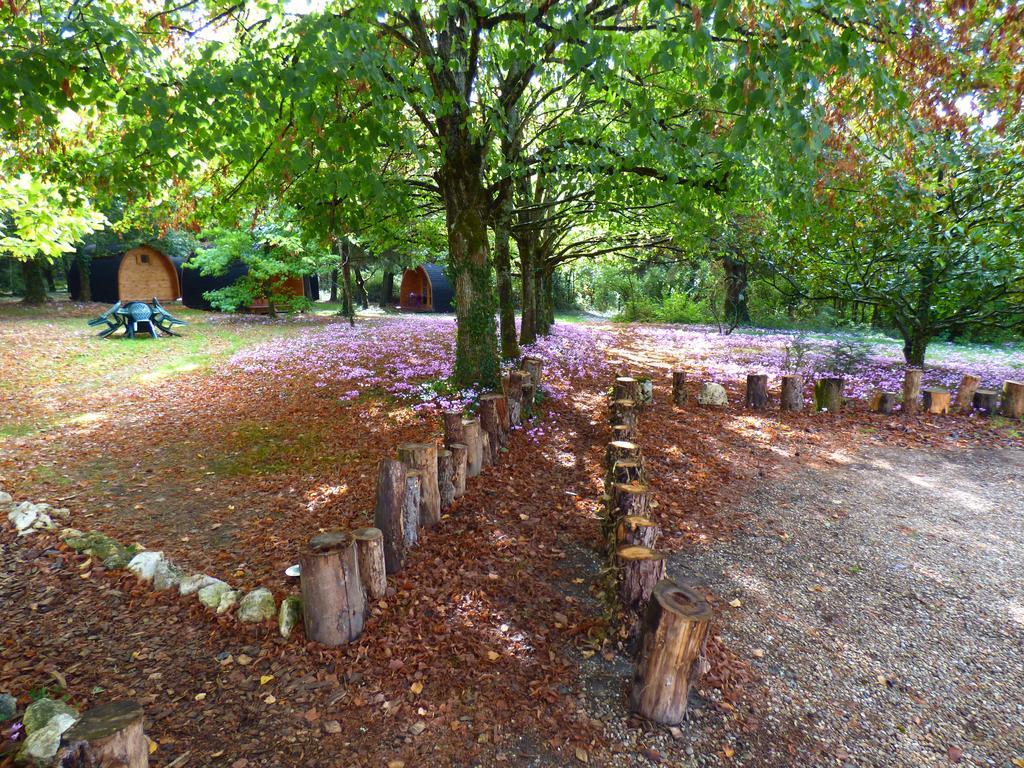 La Rossignolerie - Pod Cabanes Des Chateaux Chouzy-sur-Cisse Esterno foto